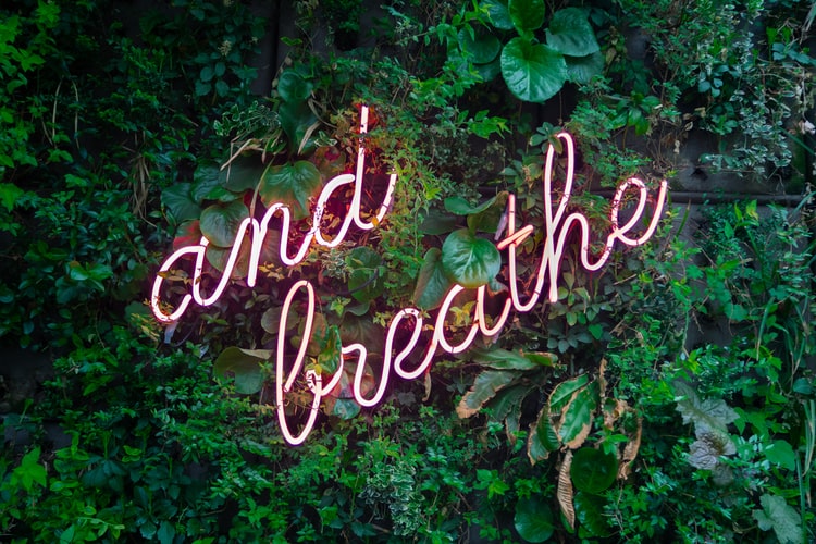 Parede de folhas onde é possível ler "and breathe" em neon