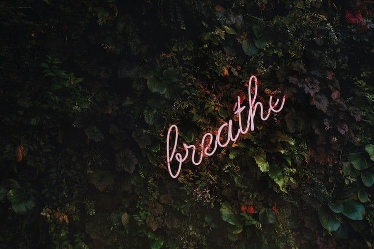 Parede de folhas onde é possível ler "breathe" em neon
